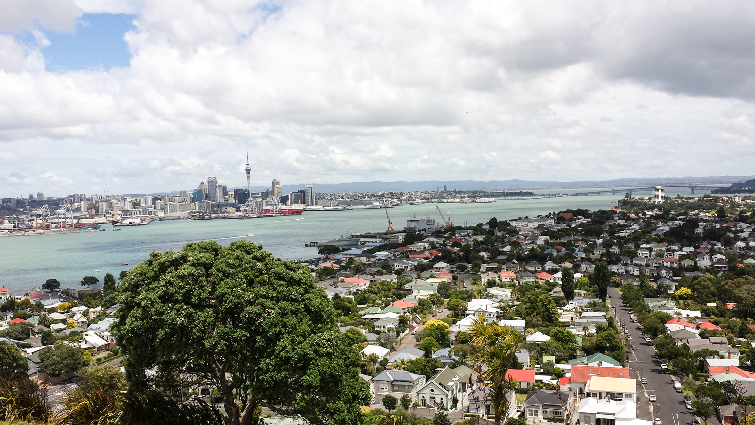 Top Tours New Zealand Limited